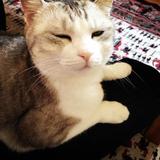 まきママの帰り道の雑談