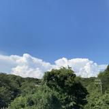今宮こうた　現役町会議員