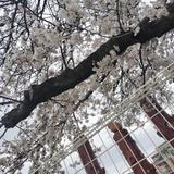 三丁目ののん