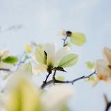 たかな0226
