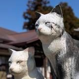 石神さん