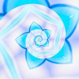 るかwhite