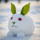 ゆきみみ相談室