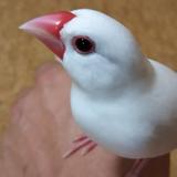 圭～kei～データー入力業務請け負います