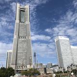 真贋判定くん