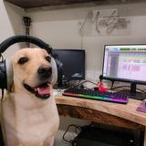 trp_sound