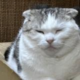mlusopc38