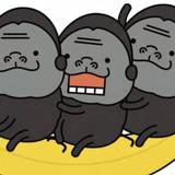 りりとpapa