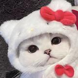 やのcrochet