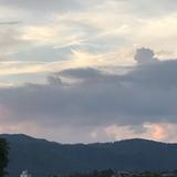 れい　哲学文学好き