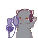 声優コンサル猫