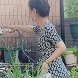 喫茶そわかのママ