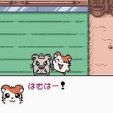 はむはー！