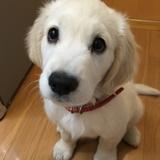 まつもと　としひろ