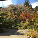 AoZoraGarden
