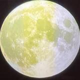 よっしー11