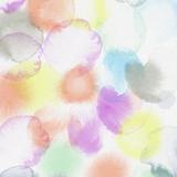 みなみ ななみ