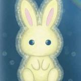 うさぎの学習サポート