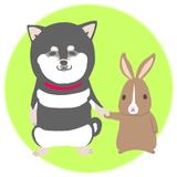タカギモゲコ