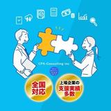 CPA Consulting