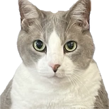 leemariya