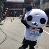 パンダ部長