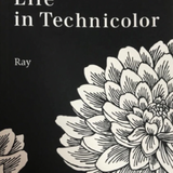 Ray731xxx