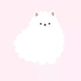 みゆきc