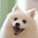itoryou118