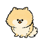GMきょん