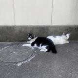 Arima_WEBデザイナー