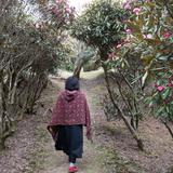 時海41