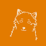 コハク_ccnr