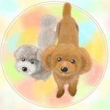 funnysunnycandy