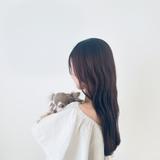 ColorandDogTherapy