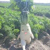 堺　洸太