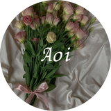 aoik1229