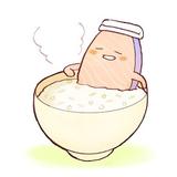 シャケ茶漬け