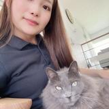 あべひなた