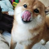 しーば：あなたの読書体験をサポートする人