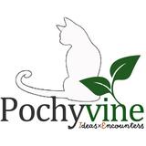 Pochyvine