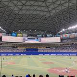 橋くん