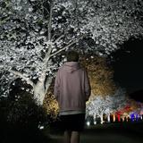 シゲスタイル
