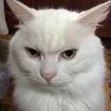 読書好き