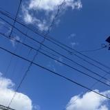 樹里。