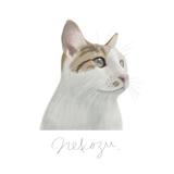nekozu art