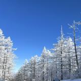 ryokapopo0822