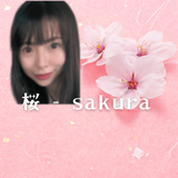 桜 sakura