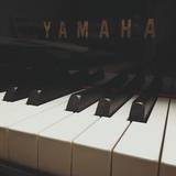 YAMA♪
