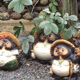 raccoon_create
